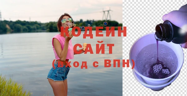 apvp Гусев