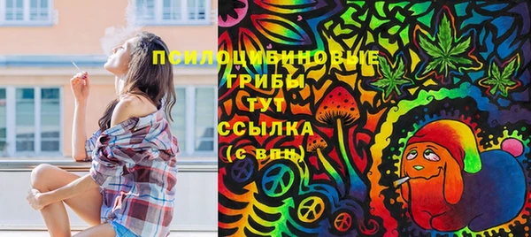 первитин Гусь-Хрустальный