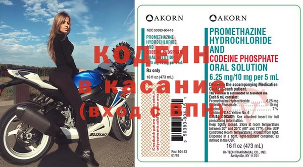 apvp Гусев