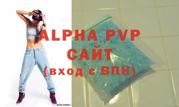 apvp Гусев