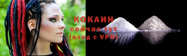 apvp Гусев