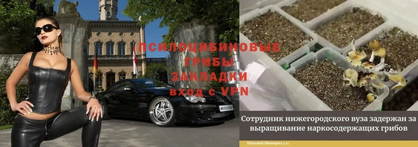 первитин Гусь-Хрустальный