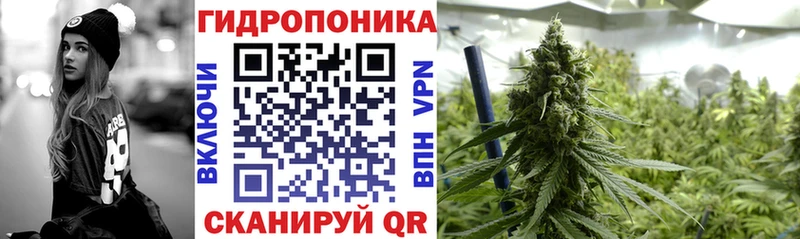 Купить закладки  Павловск  Конопля тримм 